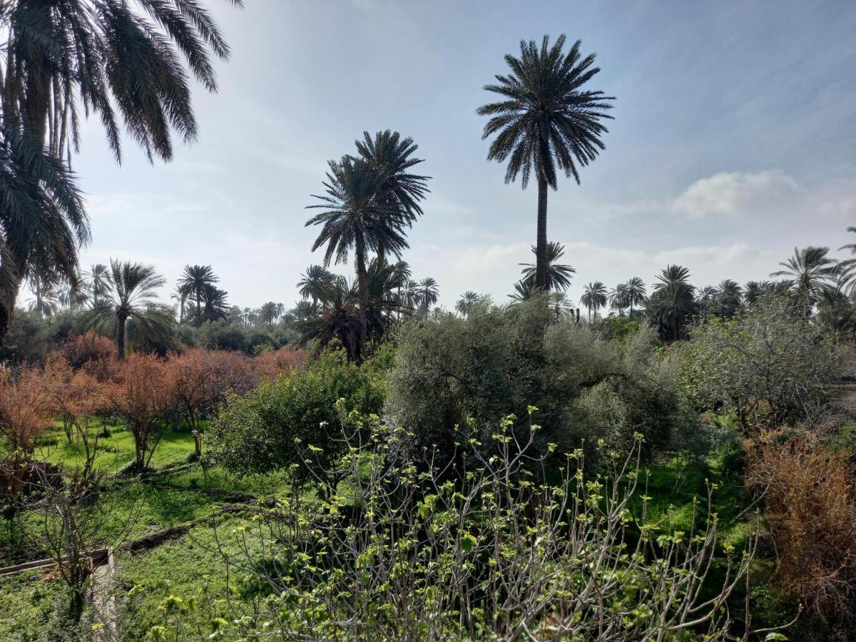 Dar Seddik Ξενοδοχείο Gafsa Εξωτερικό φωτογραφία