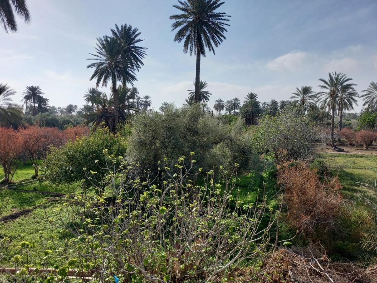 Dar Seddik Ξενοδοχείο Gafsa Εξωτερικό φωτογραφία