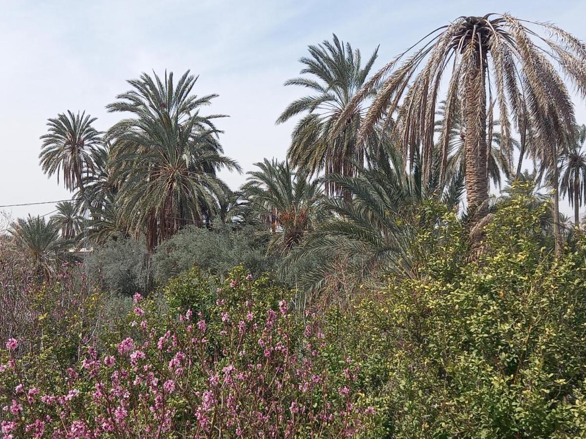 Dar Seddik Ξενοδοχείο Gafsa Εξωτερικό φωτογραφία